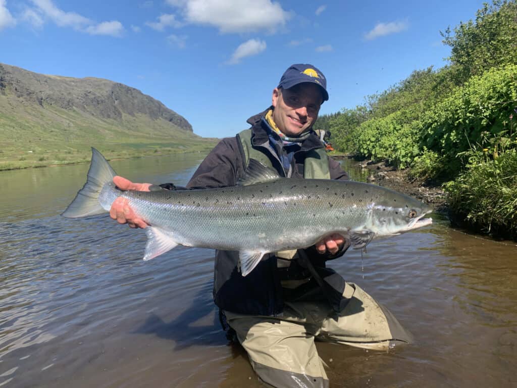 Þrastalundur-Sog atlantic salmon