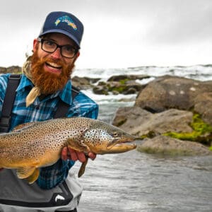 Brown trout