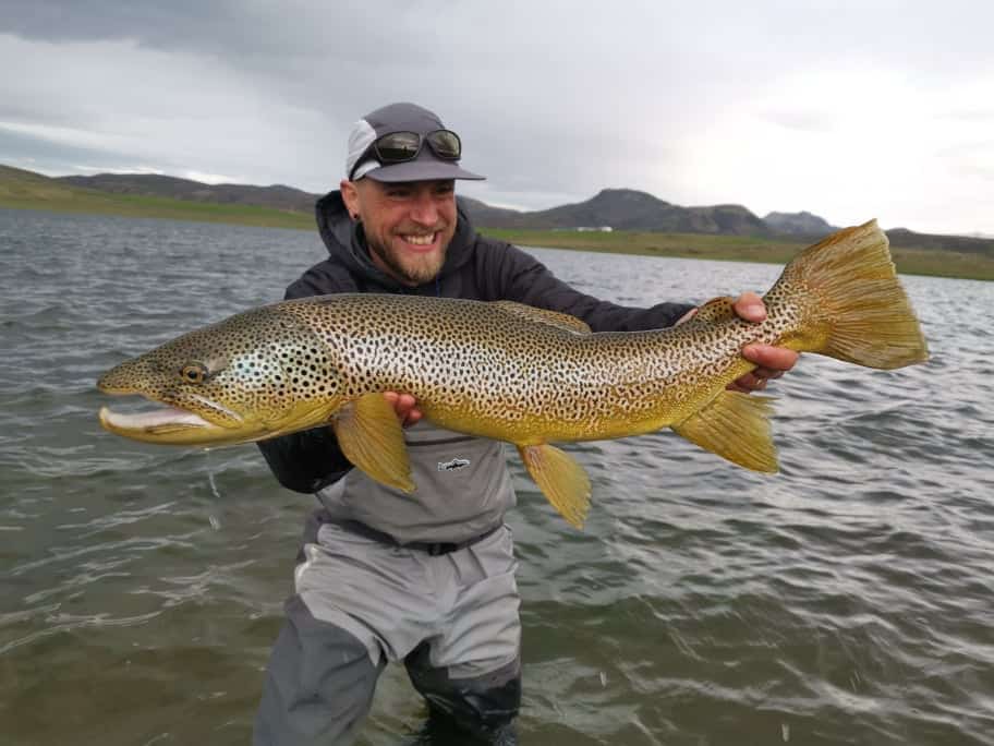 Lake Villingavatn brown trout