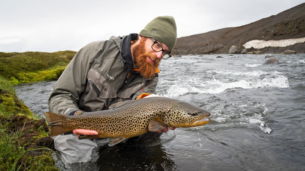 Northern highlands brown trout