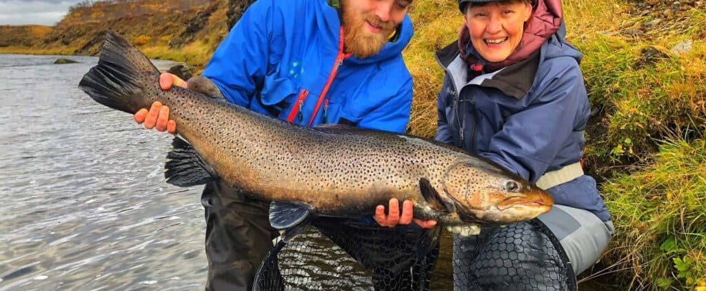Tungufljót sea run brown trout
