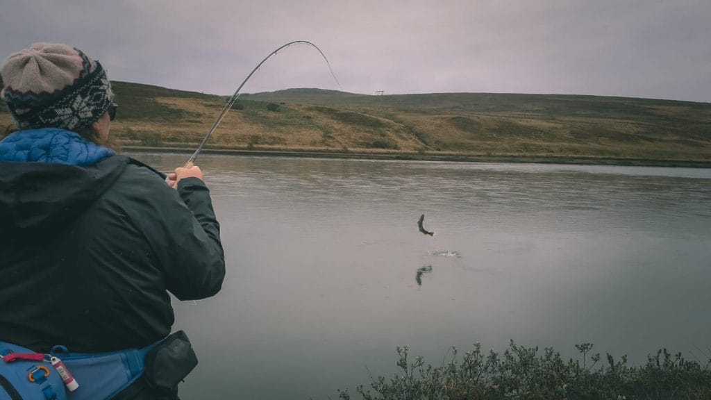 glenda powell reeling in an atlantic salmon