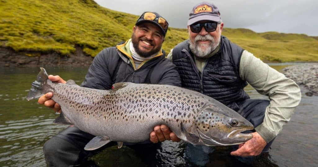 Big rainbow trout caught during fly fishing in Iceland with two anglers holding the fish.