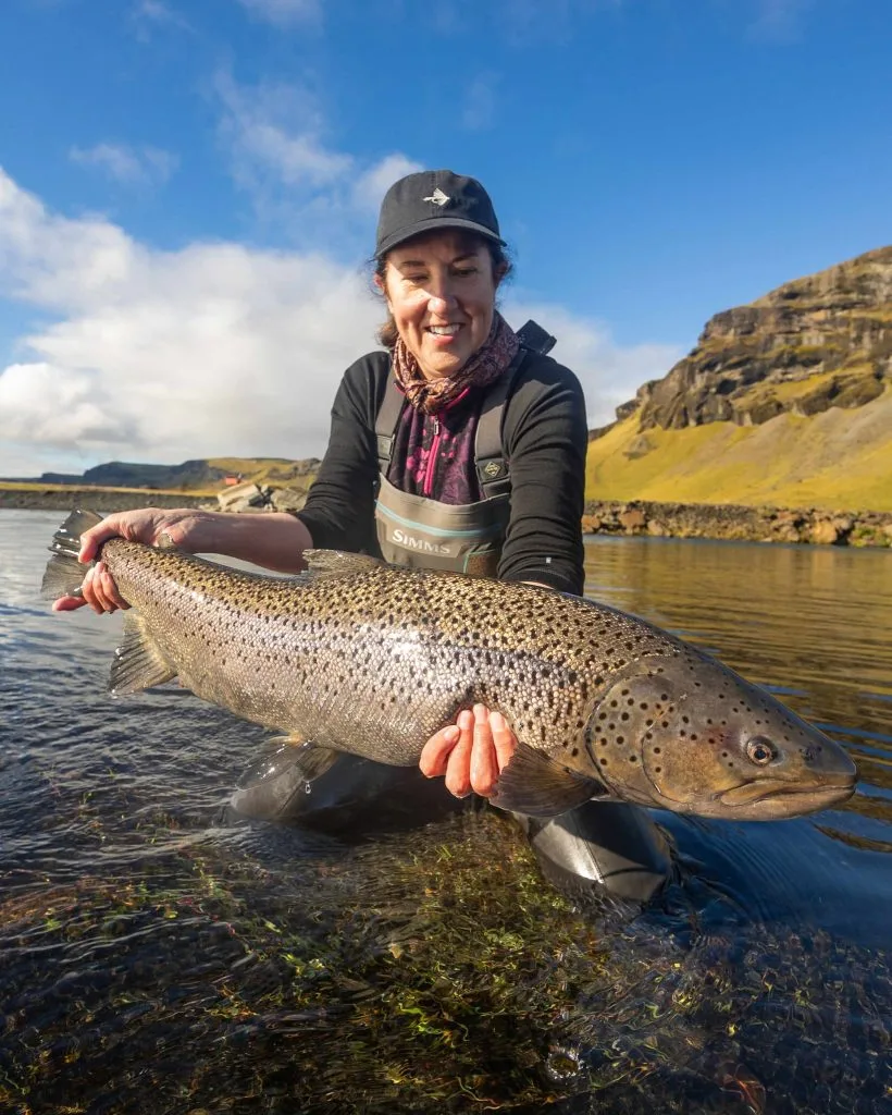 Battle Hill Lodge – Week 6 Report - Fish Partner