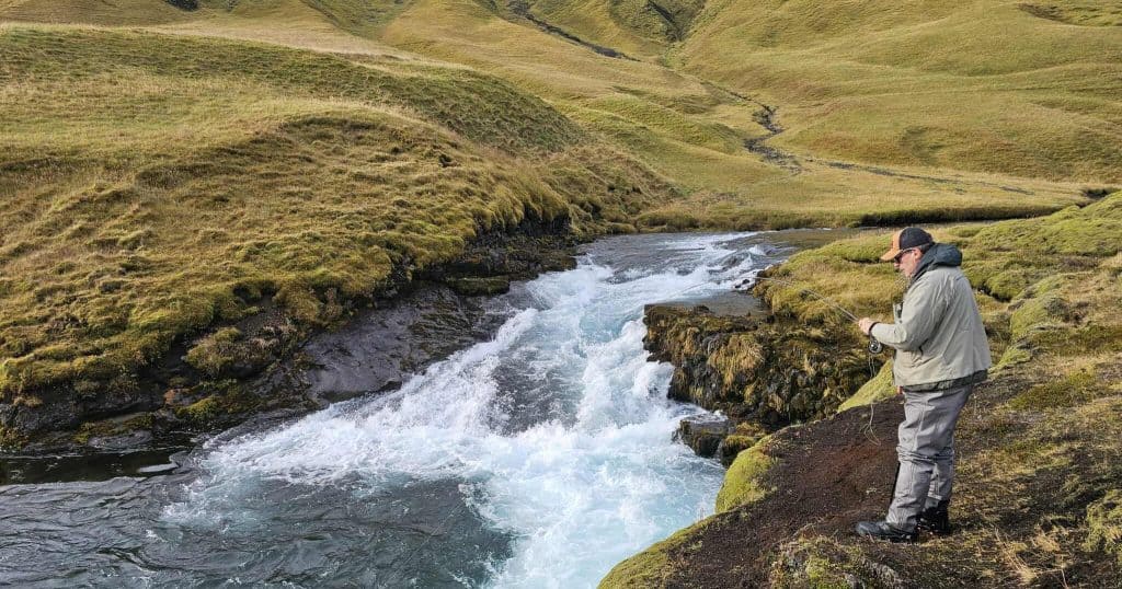 Fishing in a scenic mountain stream, perfect for freshwater fish enthusiasts and outdoor anglers.
