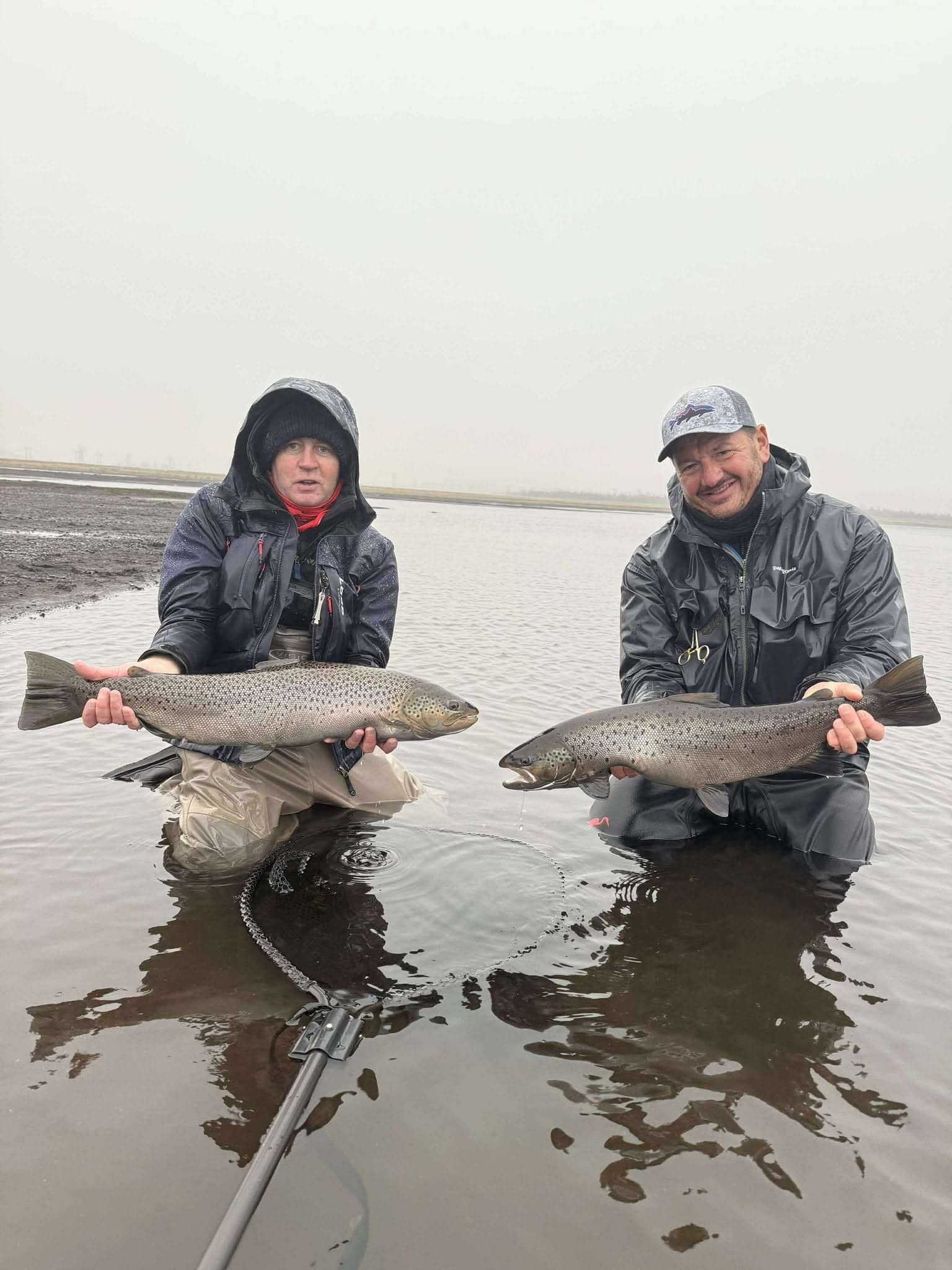 Freshly caught rainbow trout caught by anglers in a river, showcasing successful fishing with Fish Partner equipment.