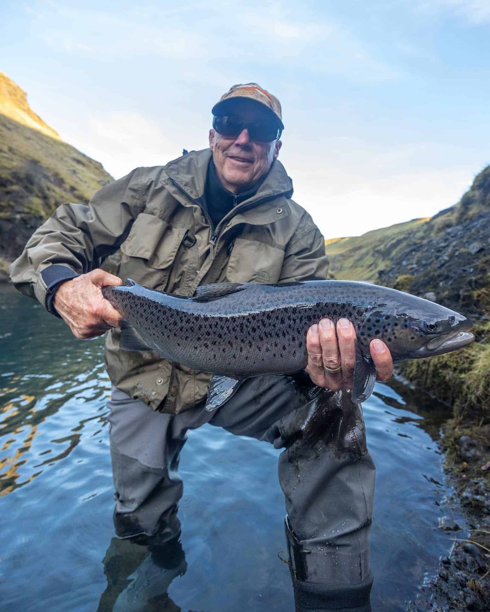 Freshly caught large sea trout from Iceland’s rivers during a fishing trip.