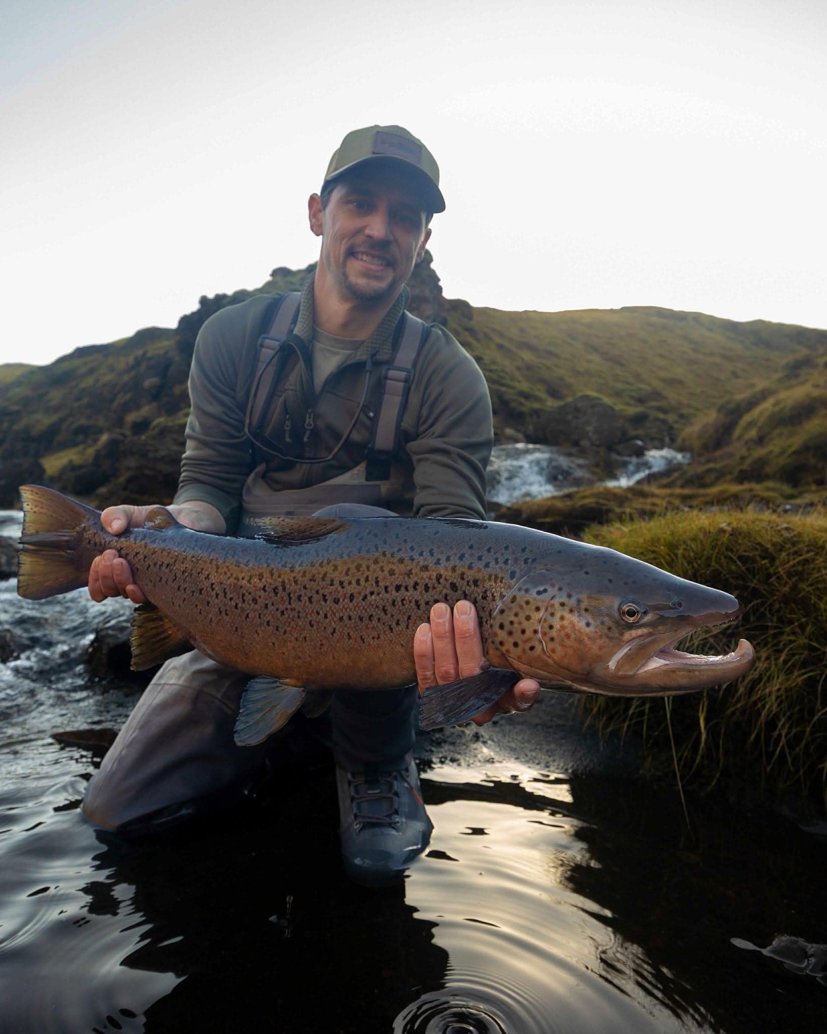 Vibrant brown trout caught by angler in natural river setting.