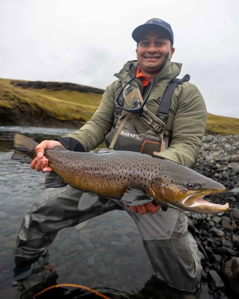 Vibrant rainbow trout caught during fly fishing in Iceland’s river landscape. A fisherman displays his catch with scenic wilderness backdrop.