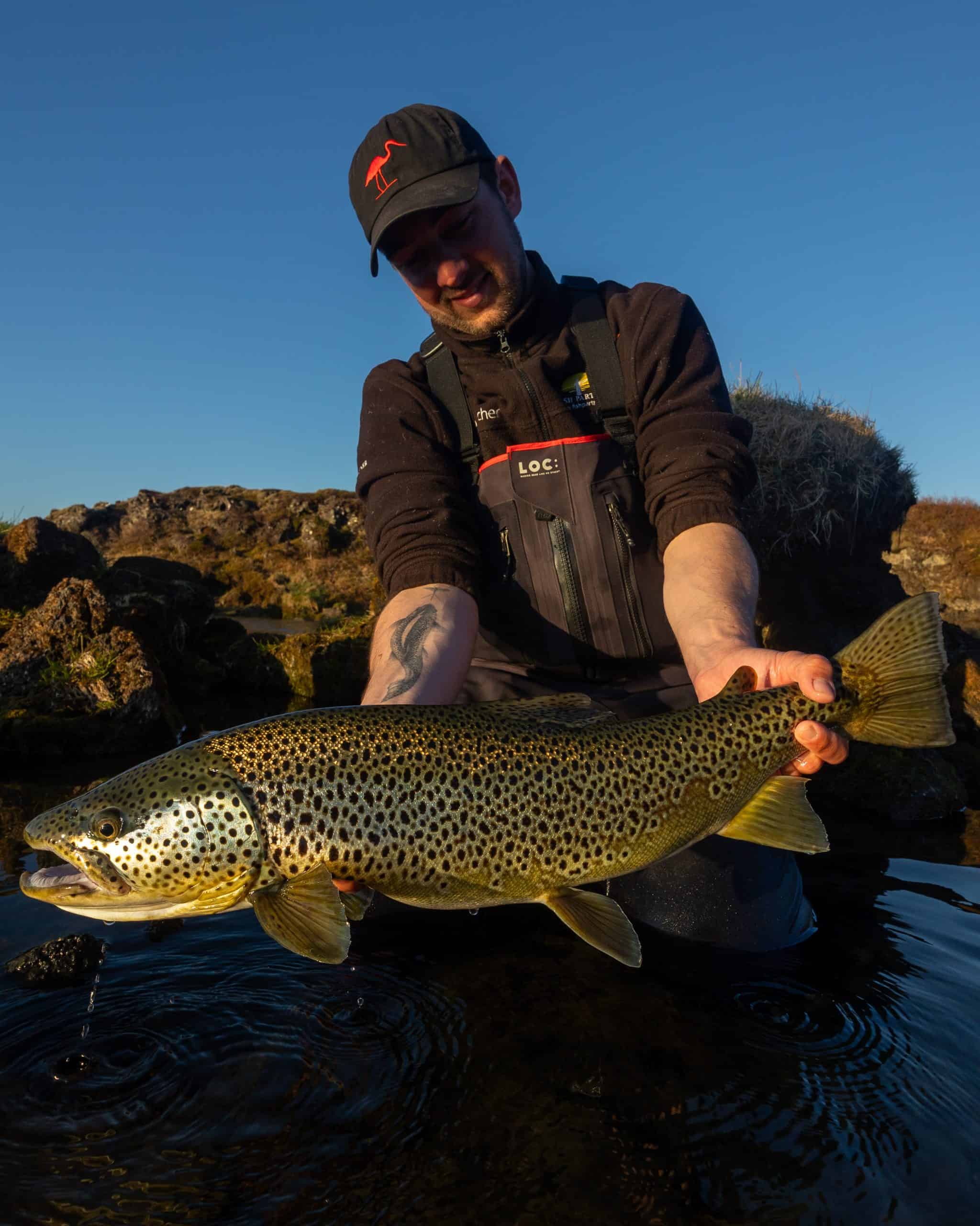 Man holding a large brown trout in Icelandic waters.