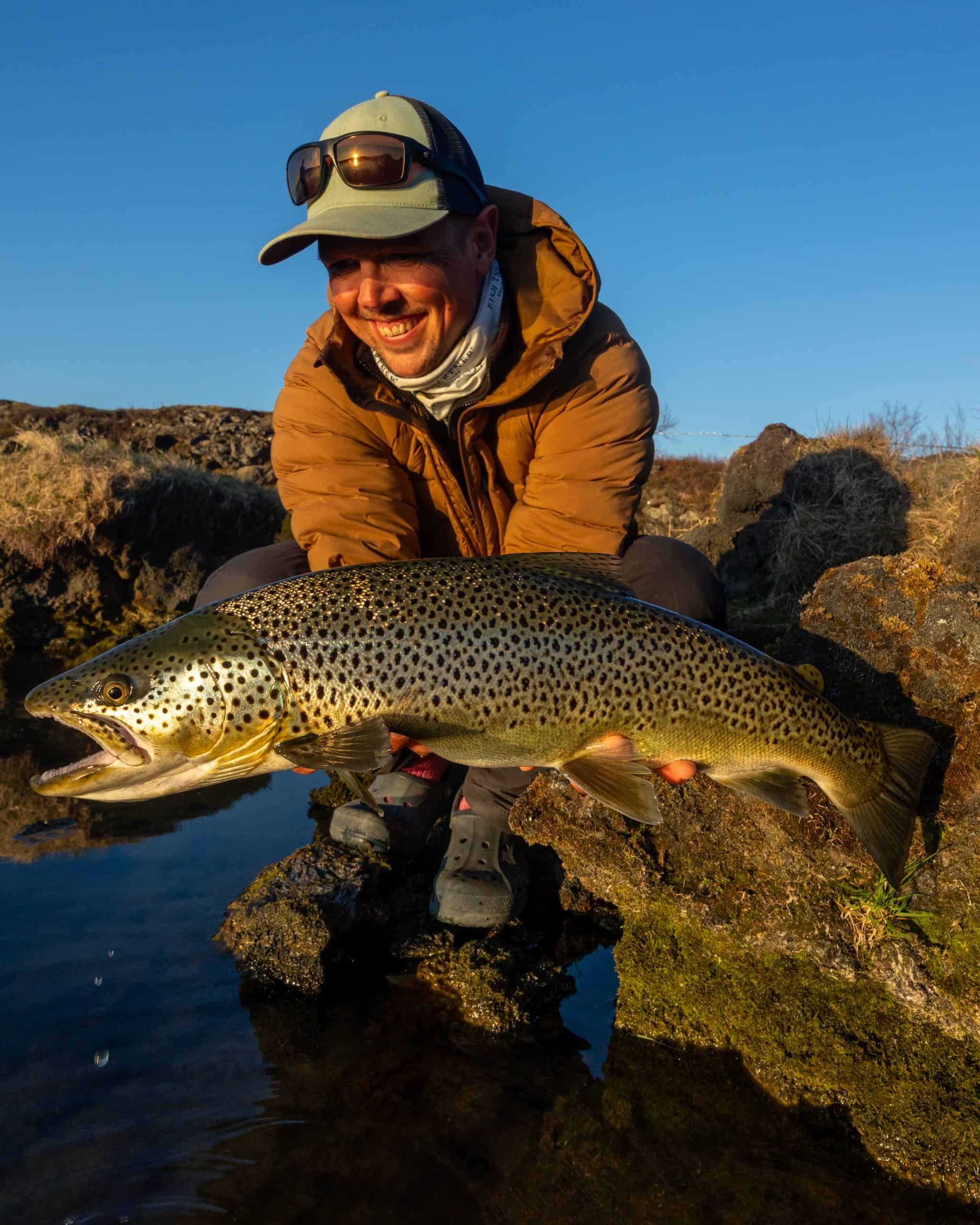 Fisherman holding a large brown trout in Icelandic landscape.