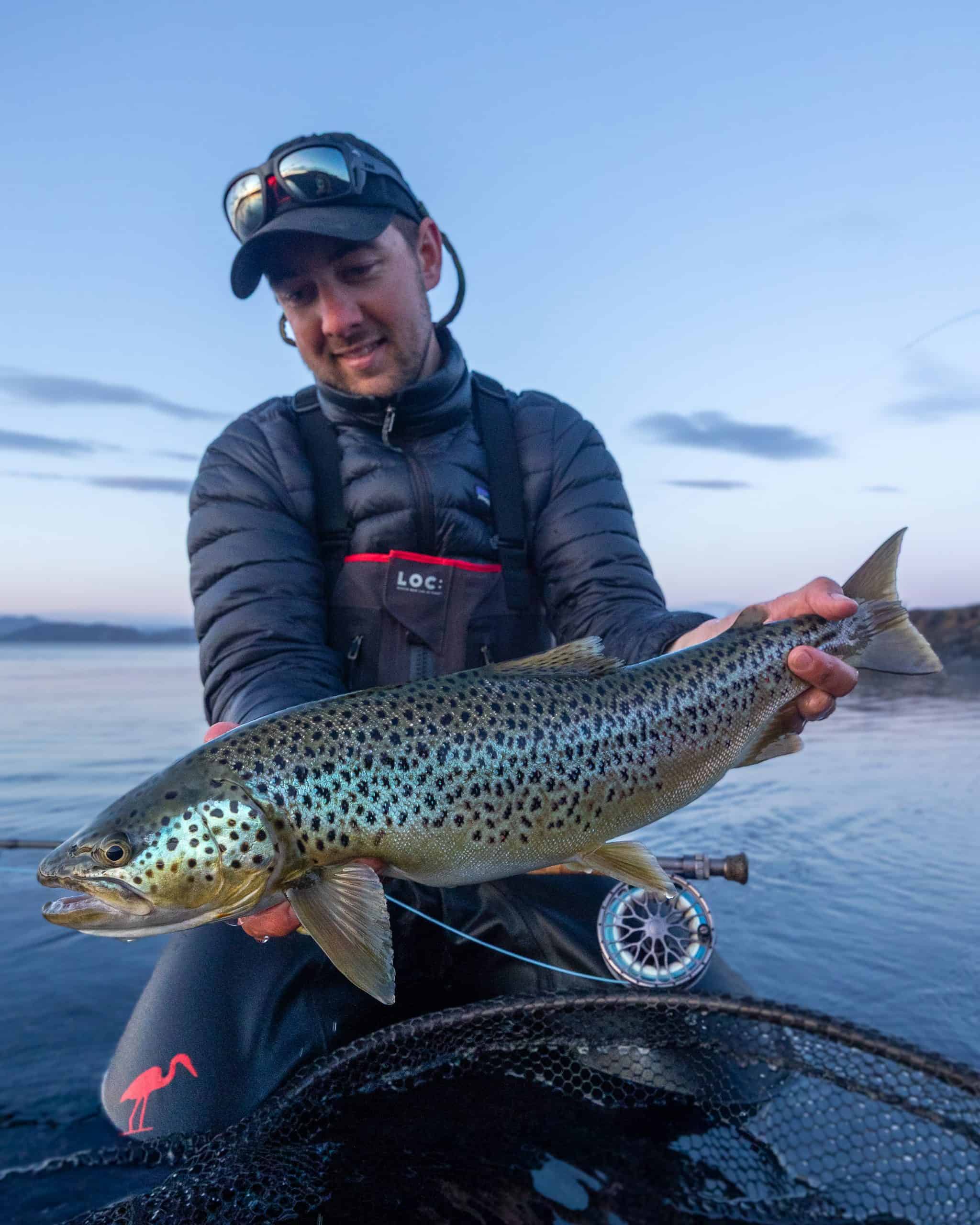 Fisherman holding a large brown trout in Iceland at sunset.