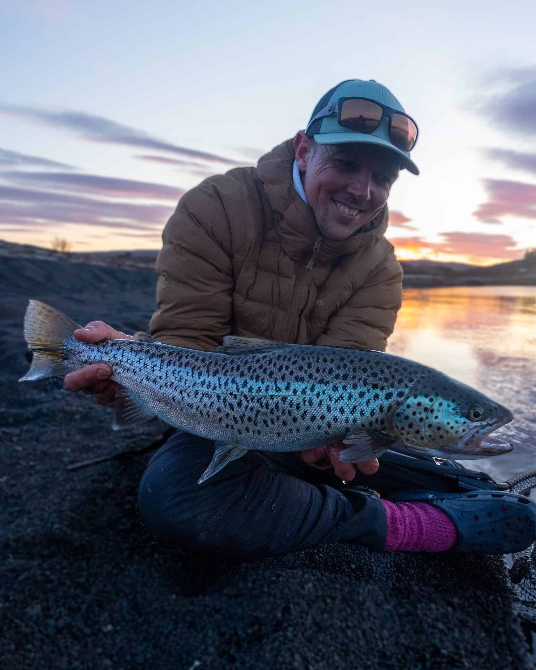 Angler holding a large Brown Trout at sunset in Iceland.