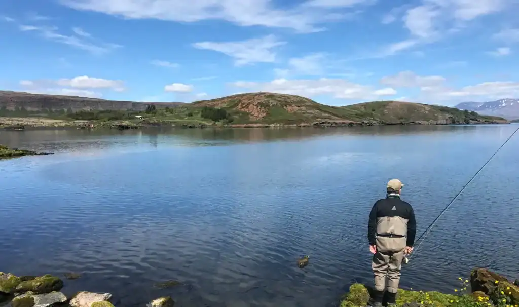 Trout fishing on a serene lake with scenic mountain views in the background.