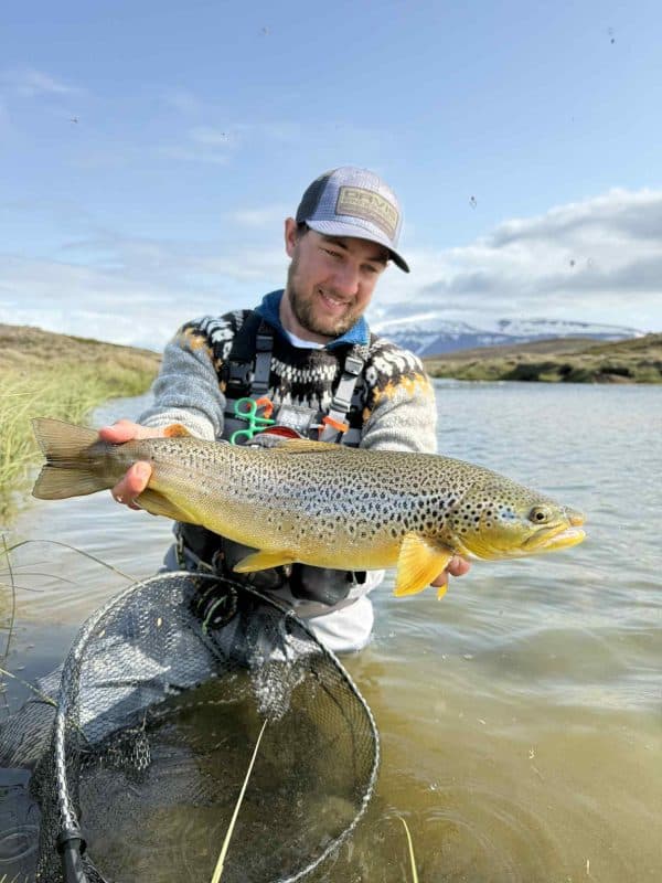Big rainbow trout caught while fly fishing in Iceland, showcasing expert angling and stunning natural scenery.