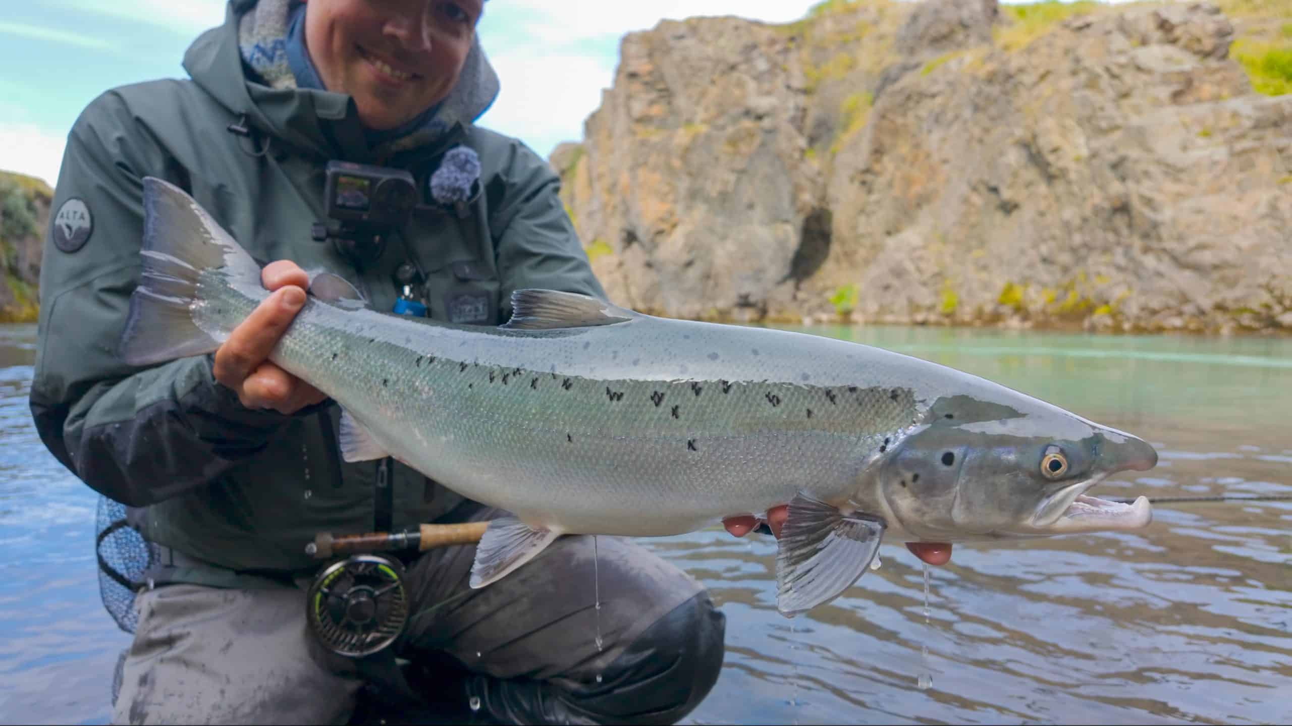 Fisherman holding a large fish in Icelandic river.