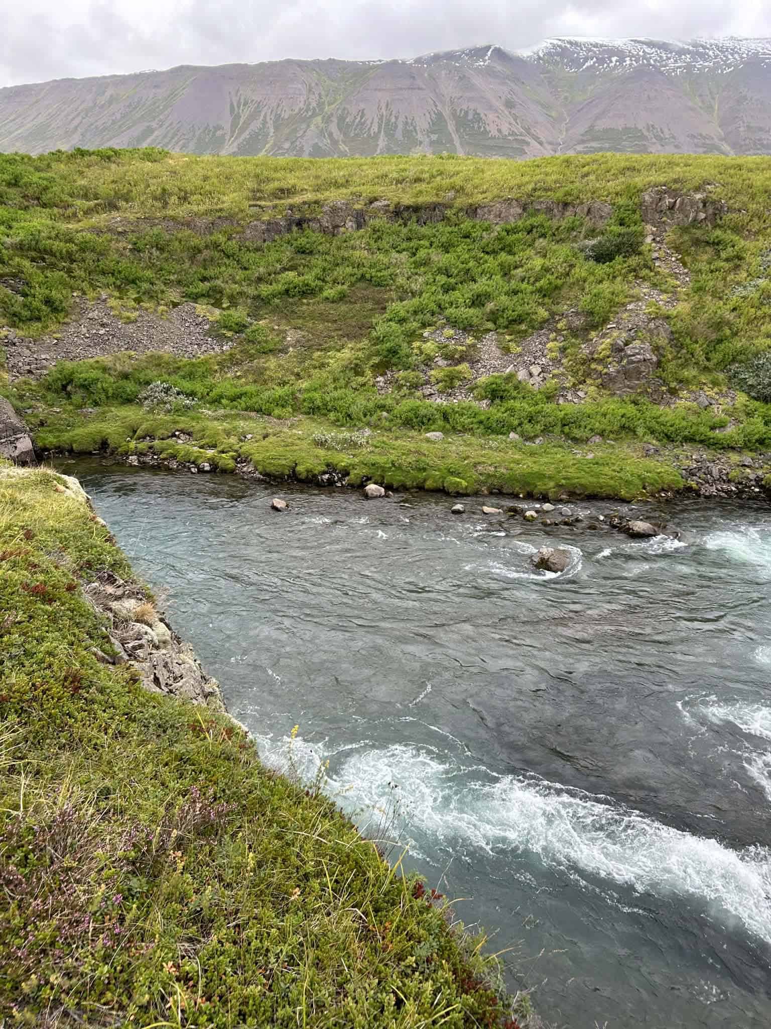 Scenic view of the Kolka River flowing through lush green landscape in Iceland.