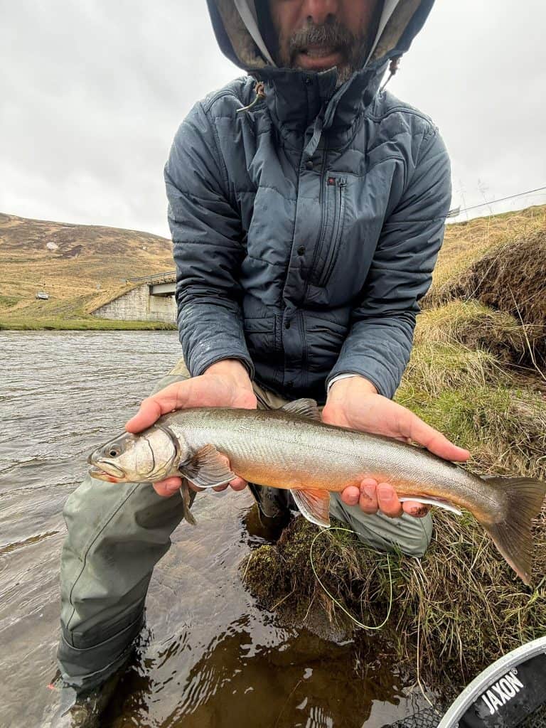 Fisherman holding a brown trout in a river during overcast weather.