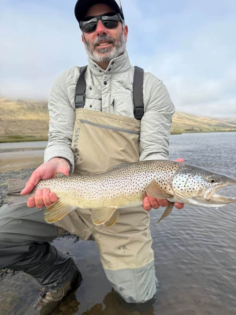 Angler holding a large brown trout by a river in Iceland.