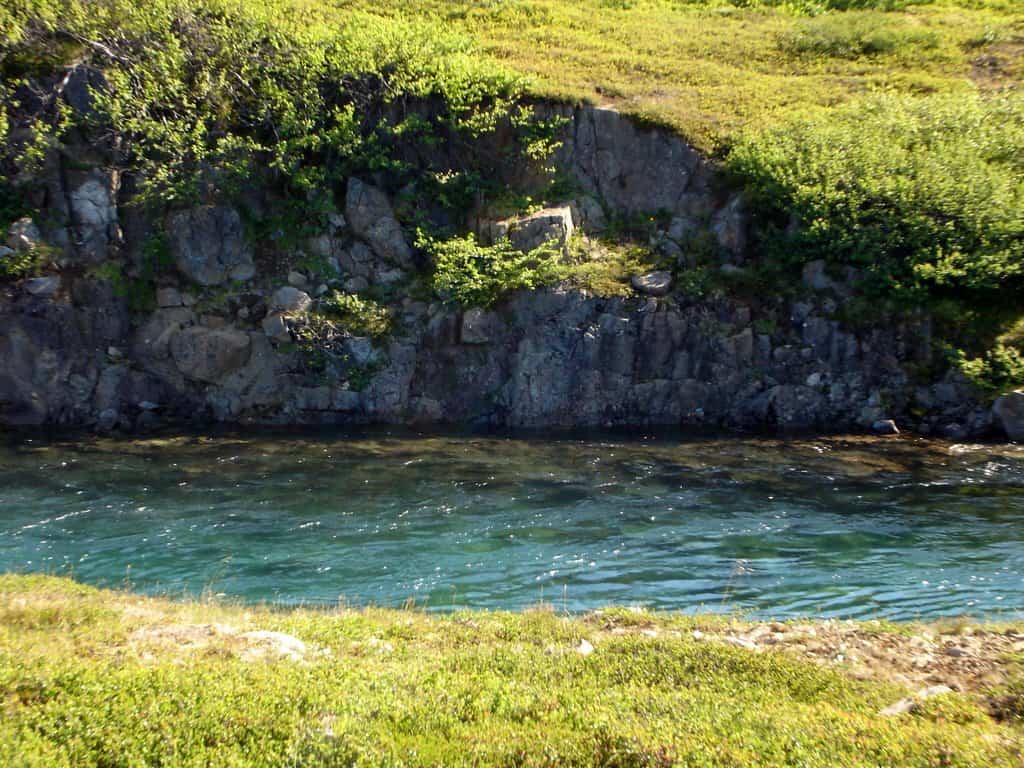 Scenic river with clear water and lush green banks in Bjarnarfjarðará.