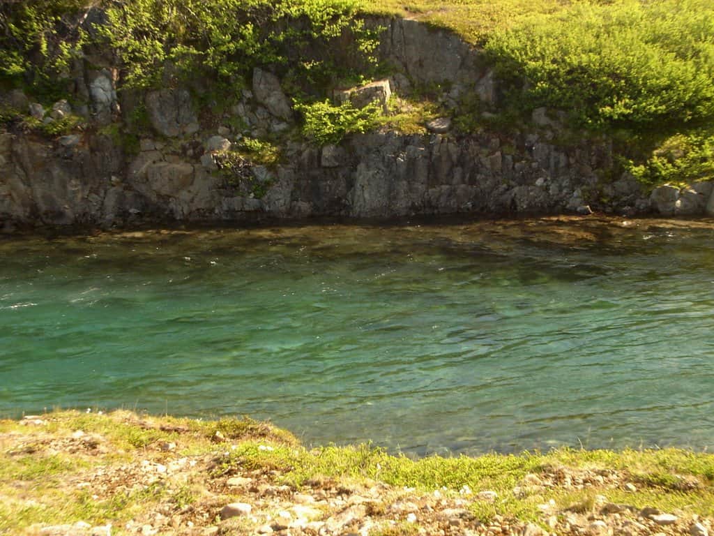 Scenic view of a clear river with rocky banks and lush greenery.