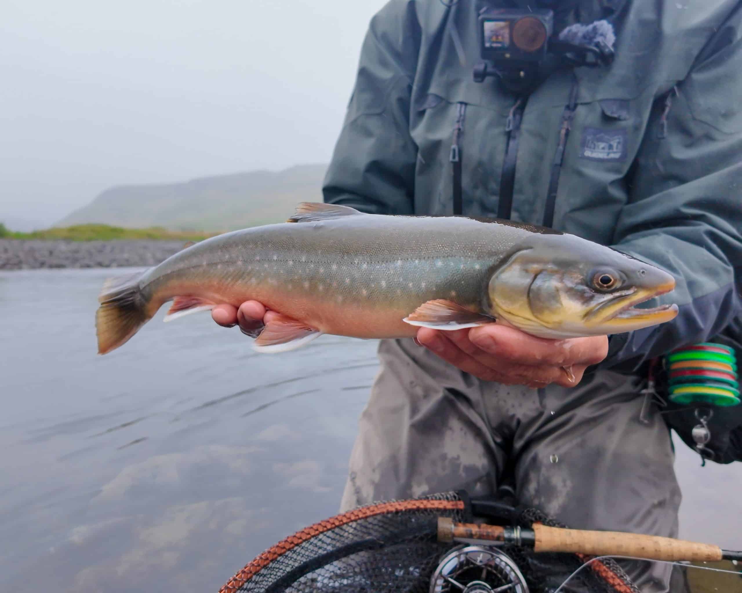 Fisher holding a large Arctic char caught in a river.