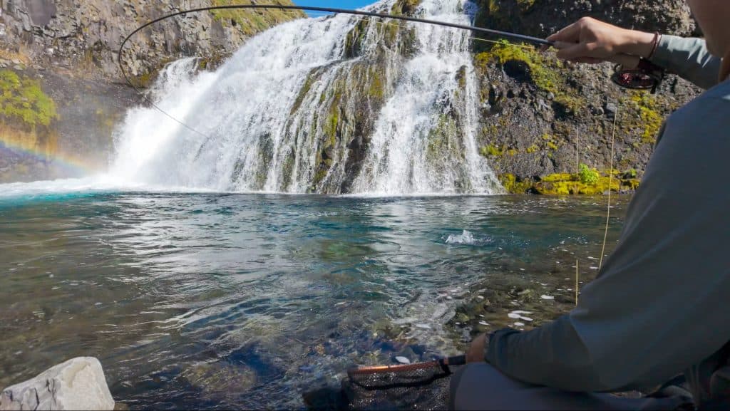 Fly-fisherman casting with a waterfall in the background.
