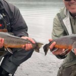 2 arctic char from river Tungufljót