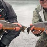 Fishing enthusiasts holding large fish caught from freshwater lakes. Fresh caught fish from Fish Partner, perfect for anglers and seafood lovers seeking quality fishing gear and products.
