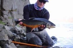 Kaldakvísl - The Highlands arctic char