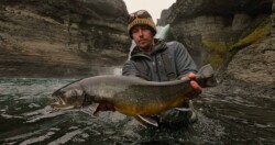 North and South Ófærur big arctic char