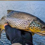 Beautifully colored rainbow trout freshly caught in a natural freshwater environment. Vibrant rainbow trout caught and held above a lake in a scenic outdoor fishing setting.