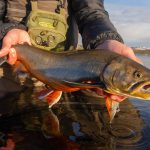Person holding a freshly caught fish by the riverbank during daytime, showcasing fishing success. True.