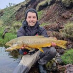 brown trout from hæðargarðsvatn