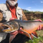 A fisherman displays a large rainbow trout caught with Fish Partner gear during a successful outdoor fishing trip. Freshly caught rainbow trout from Fish Partner fishing supplies, showcasing quality and superior fishing equipment.