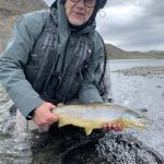 A man holding a rainbow trout in a river during outdoor fishing trip in Iceland. Rainbow trout caught during fly fishing adventure in Iceland.