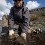A fisherman showcases a freshly caught fish in natural outdoor environment, emphasizing angling and freshwater fishing. Fresh caught fish being released back into the river during a fishing trip on rugged wilderness terrain.