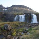 Scenic waterfall in Iceland’s wilderness, surrounded by vibrant greenery and rugged mountain terrain. Secluded waterfall cascading over rocky cliffs in a lush green landscape during daytime.
