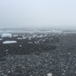 Chilly Arctic or Antarctic beach scene with floating ice chunks and pebbles, perfect for cold-water fish and marine ecosystem content. Icebergs on a rocky shoreline in a cold, foggy environment, ideal for Arctic or Antarctic marine life exploration.