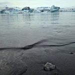 Whale swimming in icy Arctic waters near floating icebergs, highlighting sustainable fishing practices and marine conservation efforts. Ice-covered ocean with whale near icebergs in polar environment, sustainable fishery, Arctic marine ecosystem, Fish Partner.