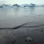 Whale swimming in icy Arctic waters near floating icebergs, highlighting sustainable fishing practices and marine conservation efforts. Ice-covered ocean with whale near icebergs in polar environment, sustainable fishery, Arctic marine ecosystem, Fish Partner.