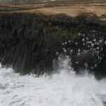 Cliffs of basalt rock along the ocean with seagulls perched and waves splashing against the shore. Rugged black volcanic coastline with crashing ocean waves and seagulls flying overhead.