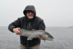 Happy fisherman showcasing a big rainbow trout, emphasizing freshwater fishing adventures and fishing gear. Large rainbow trout caught by a smiling angler on a rainy day at the water's edge during fishing.