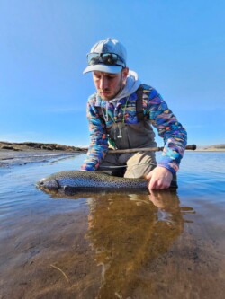 Man releasing a rainbow trout caught while fly fishing in a river on a clear day. Rainbow trout catching fishing man in river outdoor.