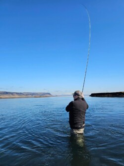 A man fishing in a river, standing waist-deep in the water, casting his line with scenic cliffs in the background. Fisherman fishing in a river with a fishing rod on a clear day.