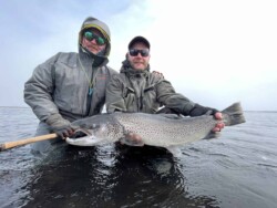 Two anglers proudly display a big rainbow trout they caught on a fishing excursion. Large rainbow trout caught during a fishing trip, showcasing the quality of fish available through Fish Partner.