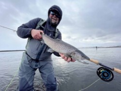 A fisherman proudly displays a large rainbow trout he caught while fly fishing in a picturesque river. Rainbow trout caught fishing in cold water with a fly rod in a scenic outdoor setting.