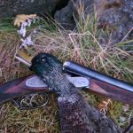 A dead fish lying on grass with a shotgun, surrounded by rocks, highlighting outdoor fishing and hunting activities in a natural setting, showcasing wildlife and outdoor adventure. Dead fish with a shotgun on grass beside rocks, hunting and fishing outdoors, fresh catch or prey, nature, wildlife, fishing gear, outdoor adventure, wildlife photography, fish hunting.