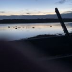 Serene sunset scene at a fishing lake featuring ducks, ideal for catching fish. Calm fishing lake at dusk with ducks swimming, peaceful fishing environment.