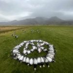 Beautiful image of fish farming on pastureland, highlighting freshwater aquaculture and sustainable fish production methods. Alive fish and waterfowl on grass field Icelandic fish farm scenic view.